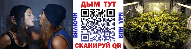 купить Ливны Бошки Шишки ГИДРОПОН